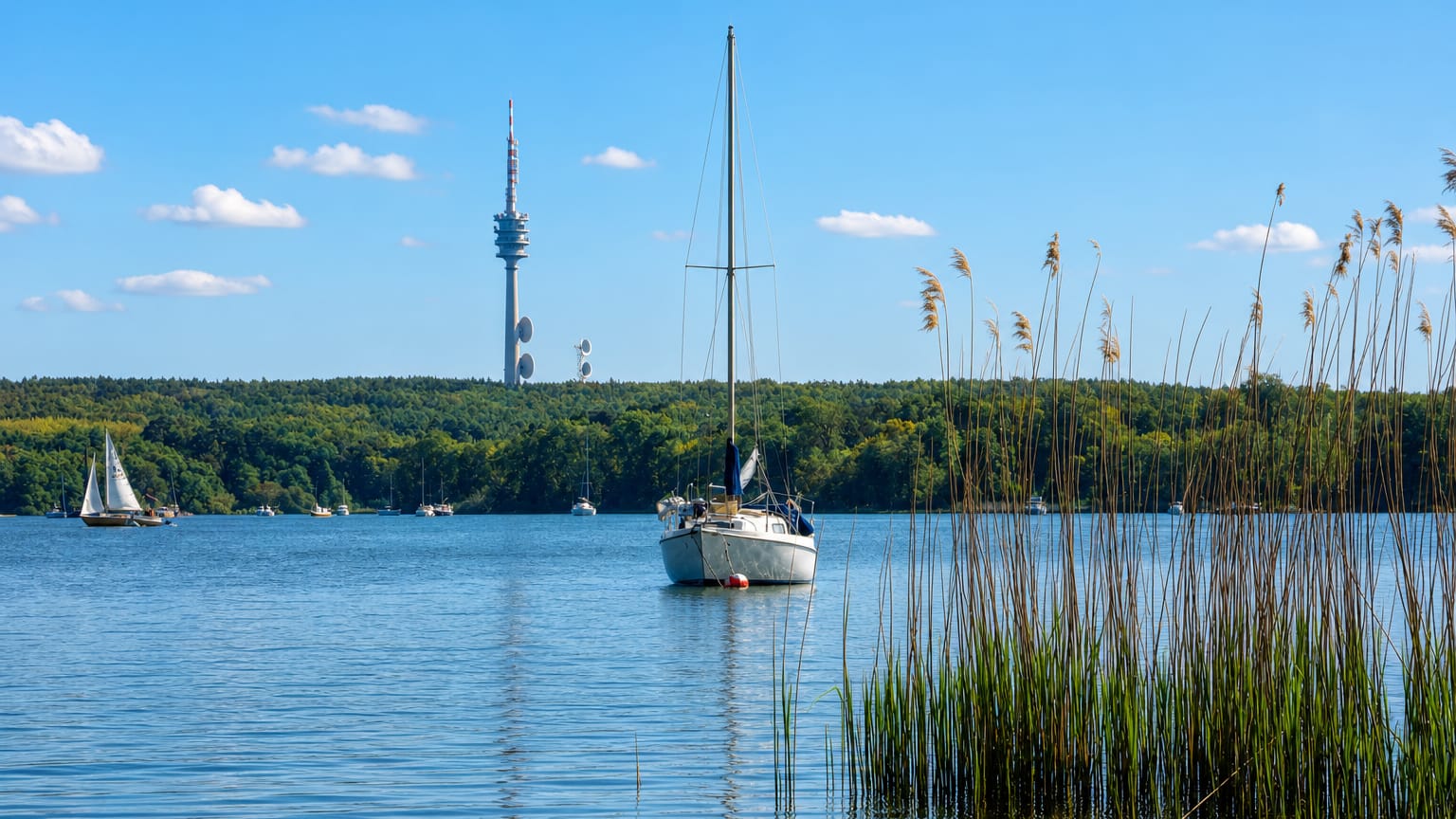 Sailboats on the Havel lake at Kladow, Berlin, with reeds in the foreground and a telecom tower on the wooded far shore