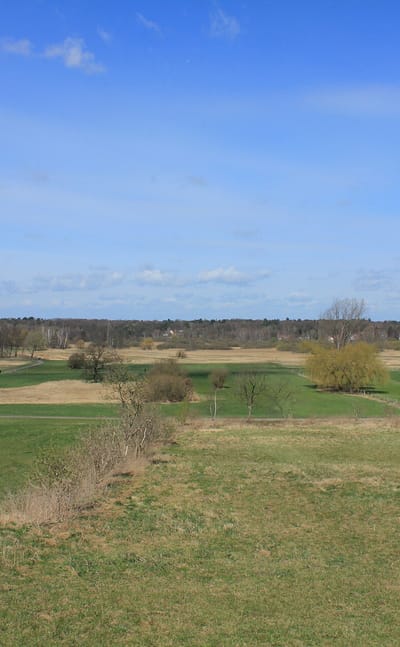 Lübars
