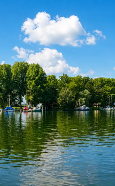 Sailboats moored along a wooded lakeshore marina at Nikolassee in Berlin, with calm water reflecting the summer sky.