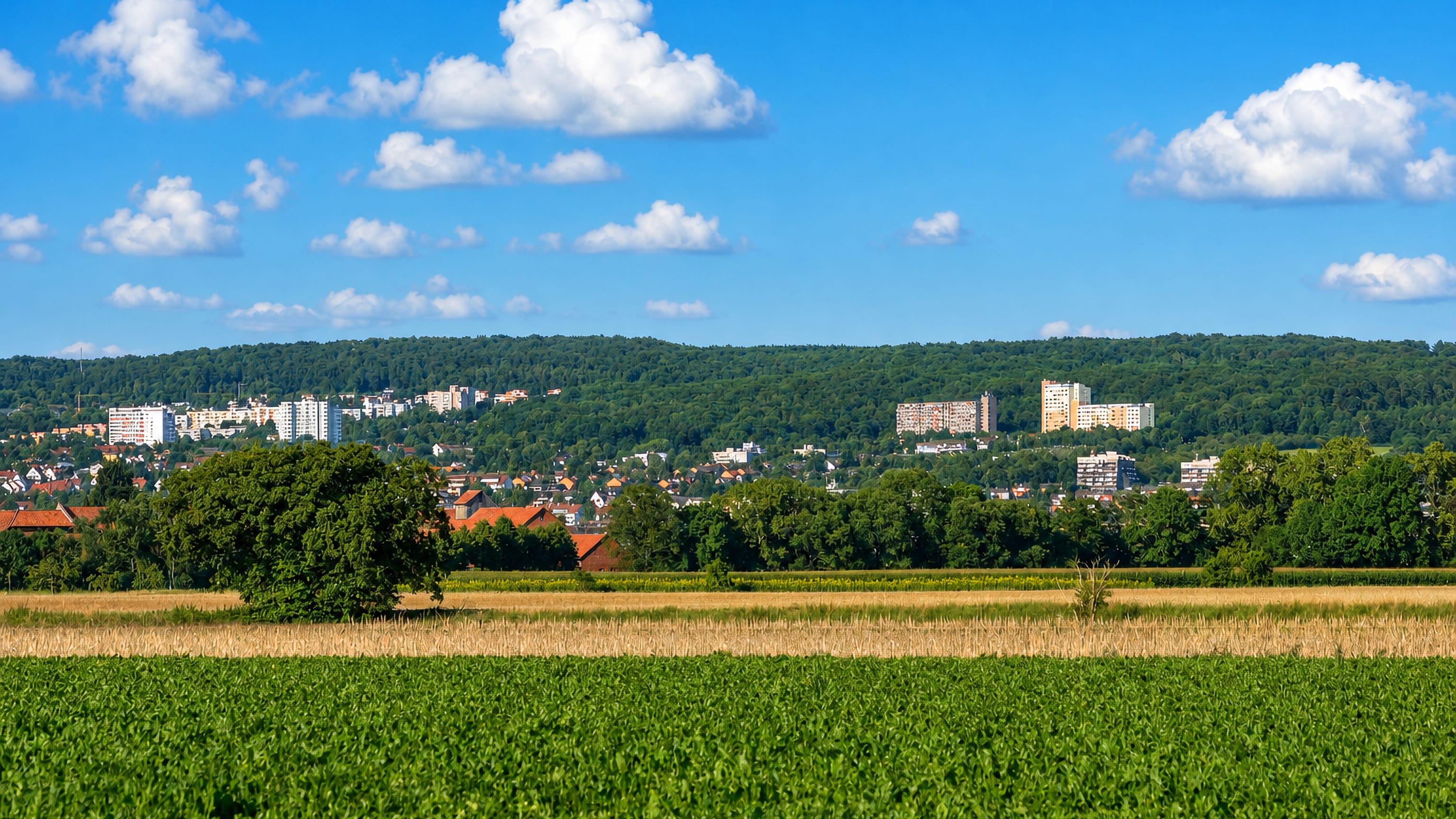 Farm fields in front of Geismar, Göttingen, with white apartment towers below the wooded ridge behind.