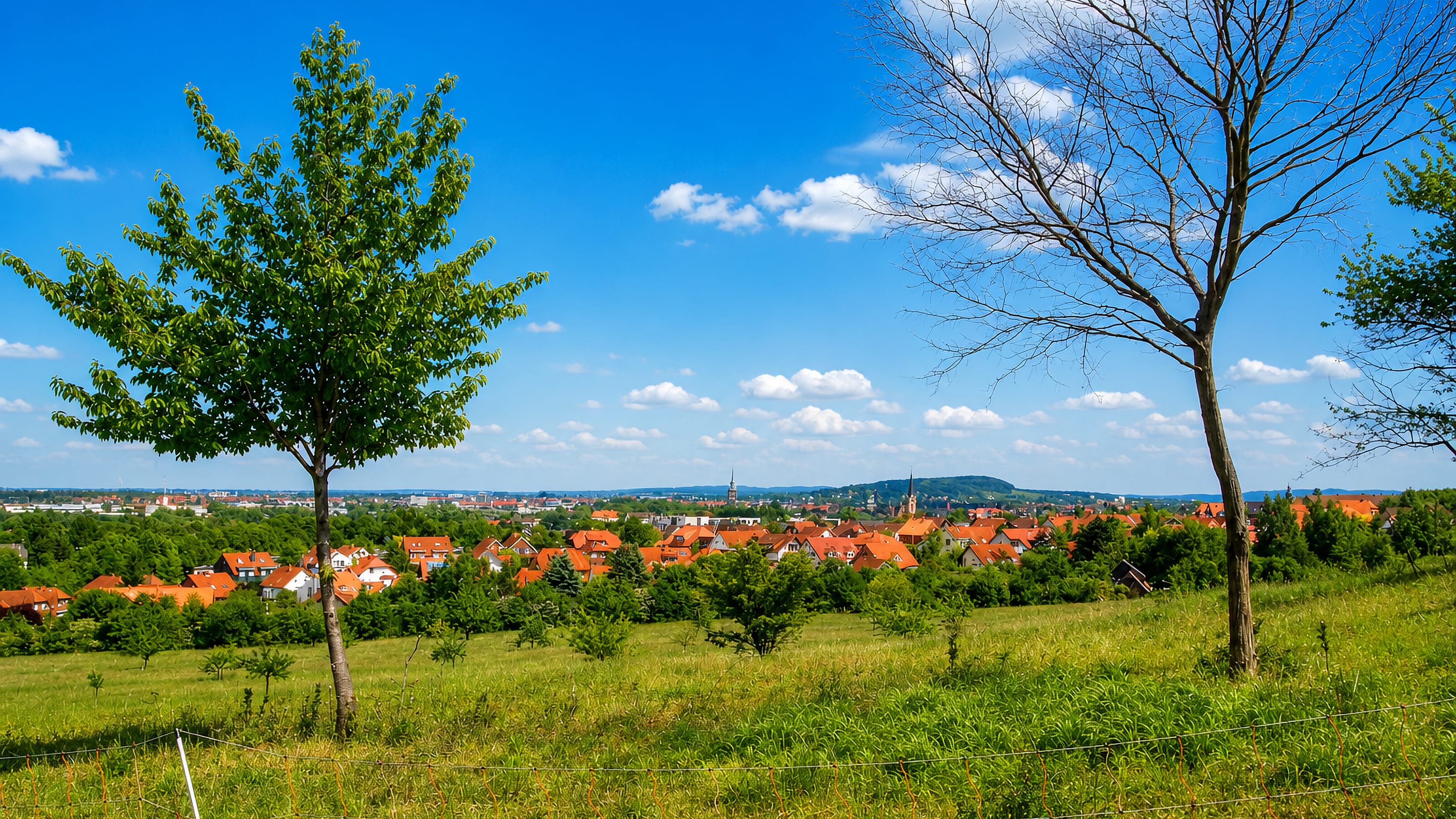 Red-roofed houses and a church spire of Moritzberg seen across a hillside meadow on the edge of Hildesheim