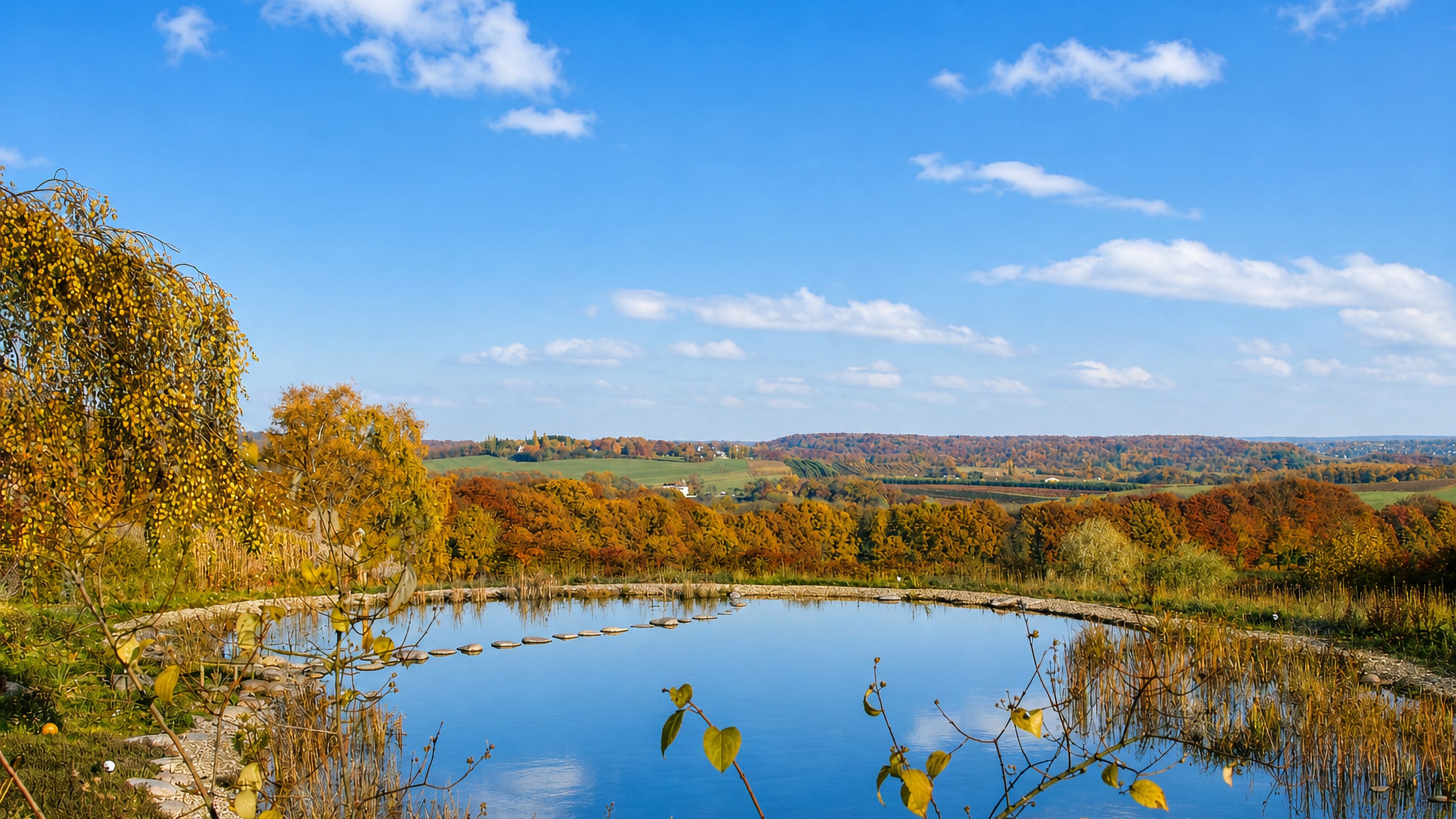 Autumn woods, farmland and a hilltop pond in the rural green belt around Schuir, southern Essen.