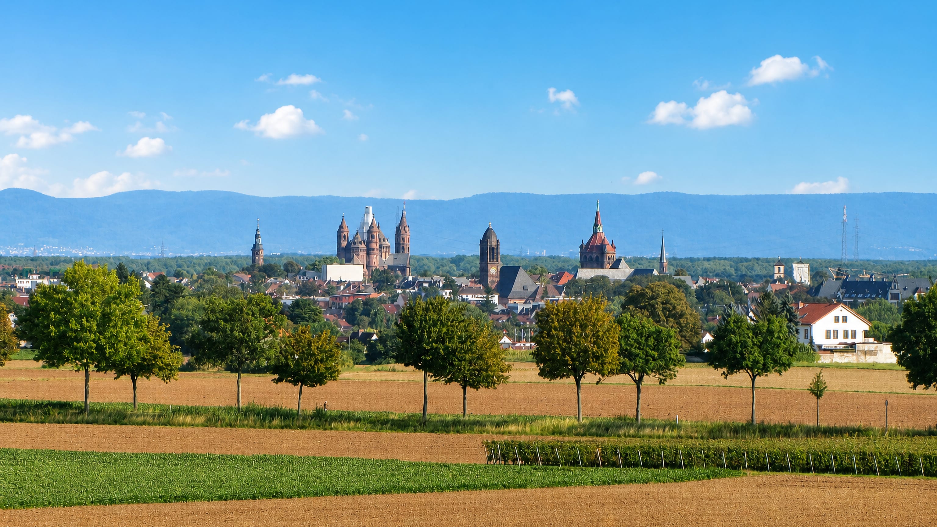 Worms skyline across farmland, the four-towered Romanesque cathedral and church spires below wooded hills