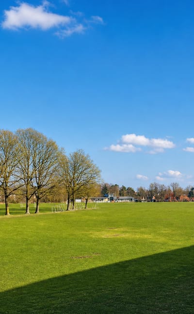 Sunny green parkland with a row of bare trees and a faint line of distant rooftops on the edge of Buddinge, Denmark.
