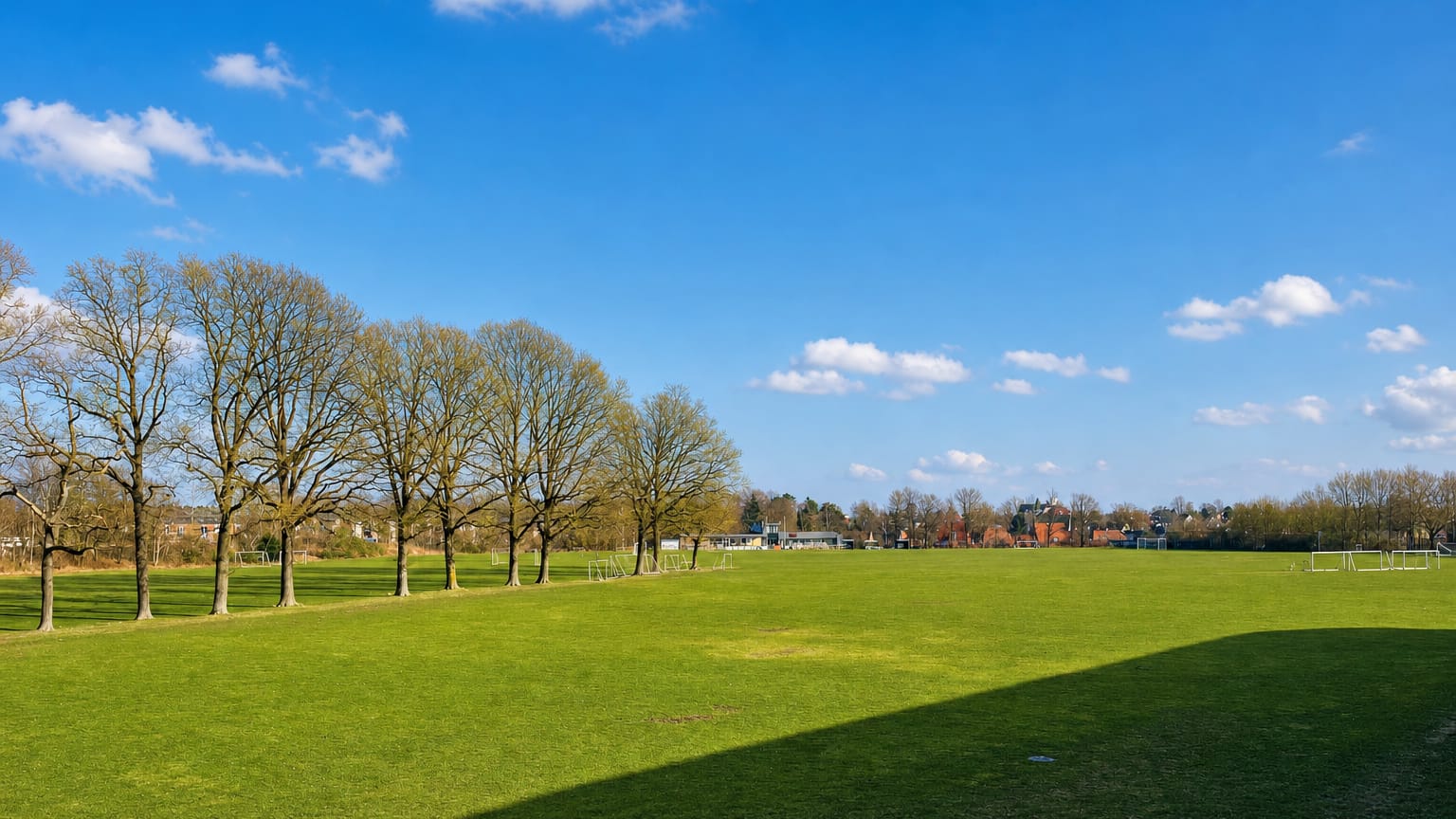 Sunny green parkland with a row of bare trees and a faint line of distant rooftops on the edge of Buddinge, Denmark.