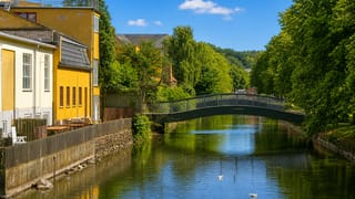 A green arched footbridge over the canal in Frederiksvaerk, Denmark, with a yellow building and swans on the water.