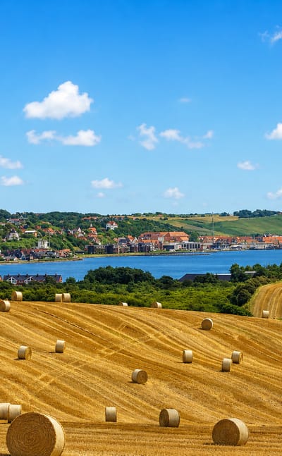 The Danish town of Lemvig along its bay, seen across rolling fields dotted with round hay bales.