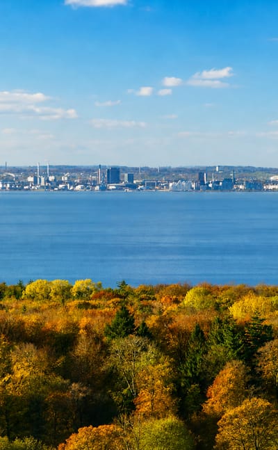 Autumn forest in the foreground with a distant industrial skyline across the bay near Rønde, Denmark