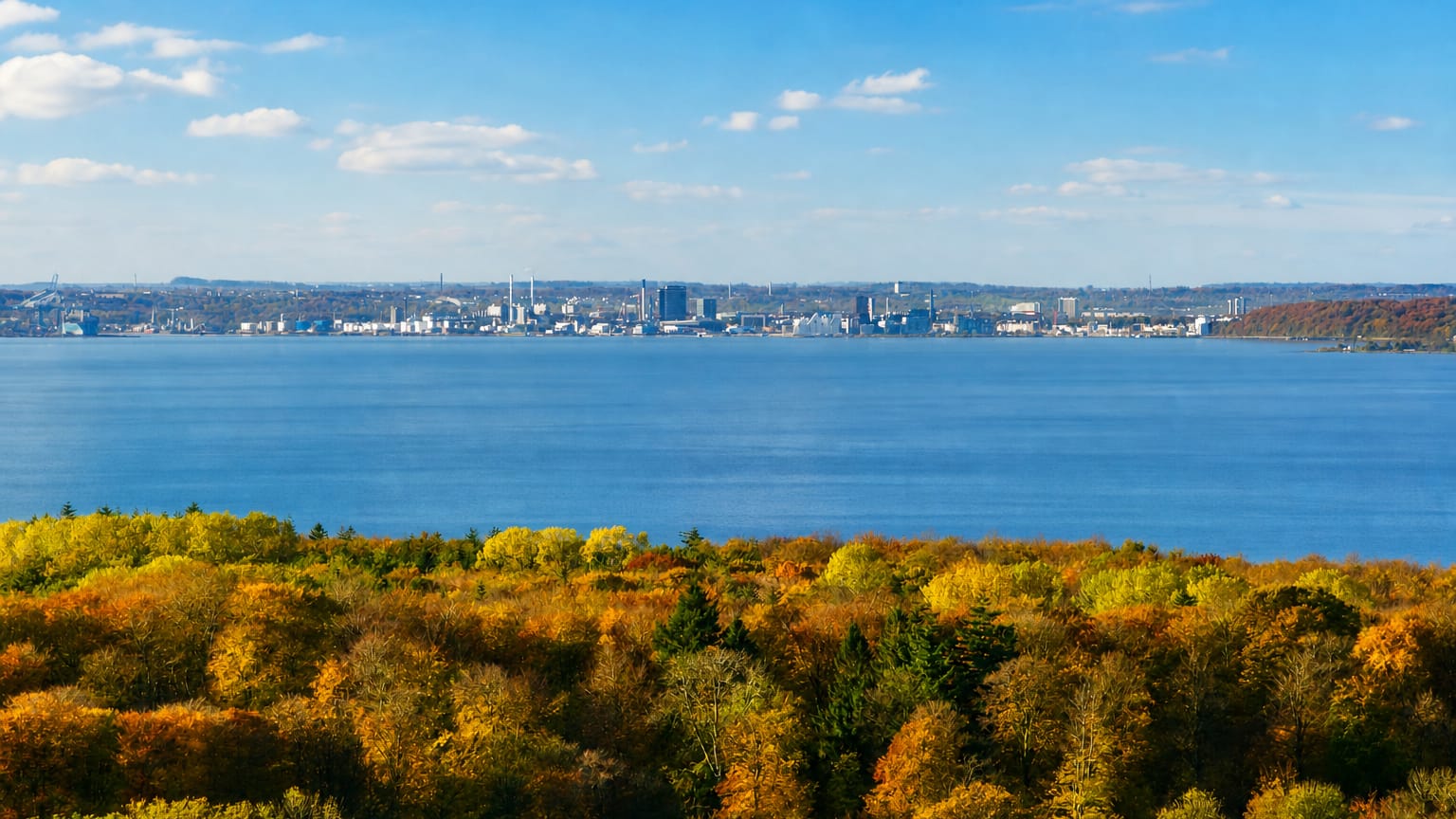 Autumn forest in the foreground with a distant industrial skyline across the bay near Rønde, Denmark