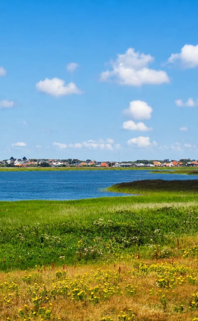 Coastal meadow and lagoon with a low town on the horizon at Sondervig on Denmark's North Sea coast