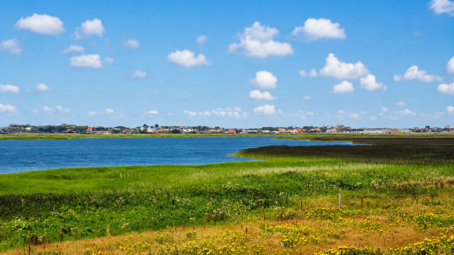 Coastal meadow and lagoon with a low town on the horizon at Sondervig on Denmark's North Sea coast