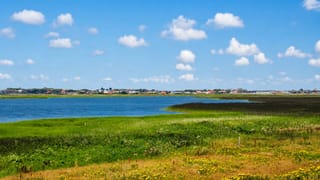 Coastal meadow and lagoon with a low town on the horizon at Sondervig on Denmark's North Sea coast