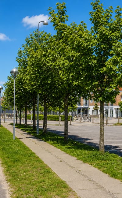 Residential street with a white apartment block, pruned trees and parked cars under blue sky in Åbybro, Denmark.