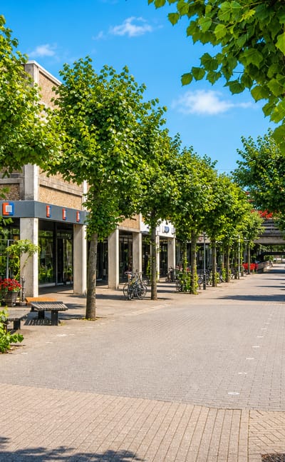 Tree-lined pedestrian shopping plaza with low modern buildings and benches in Solrød, Denmark