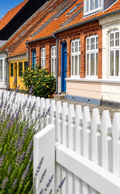 Ærøskøbing, Denmark, a cobbled lane of colourful old houses with a white picket fence and lavender.