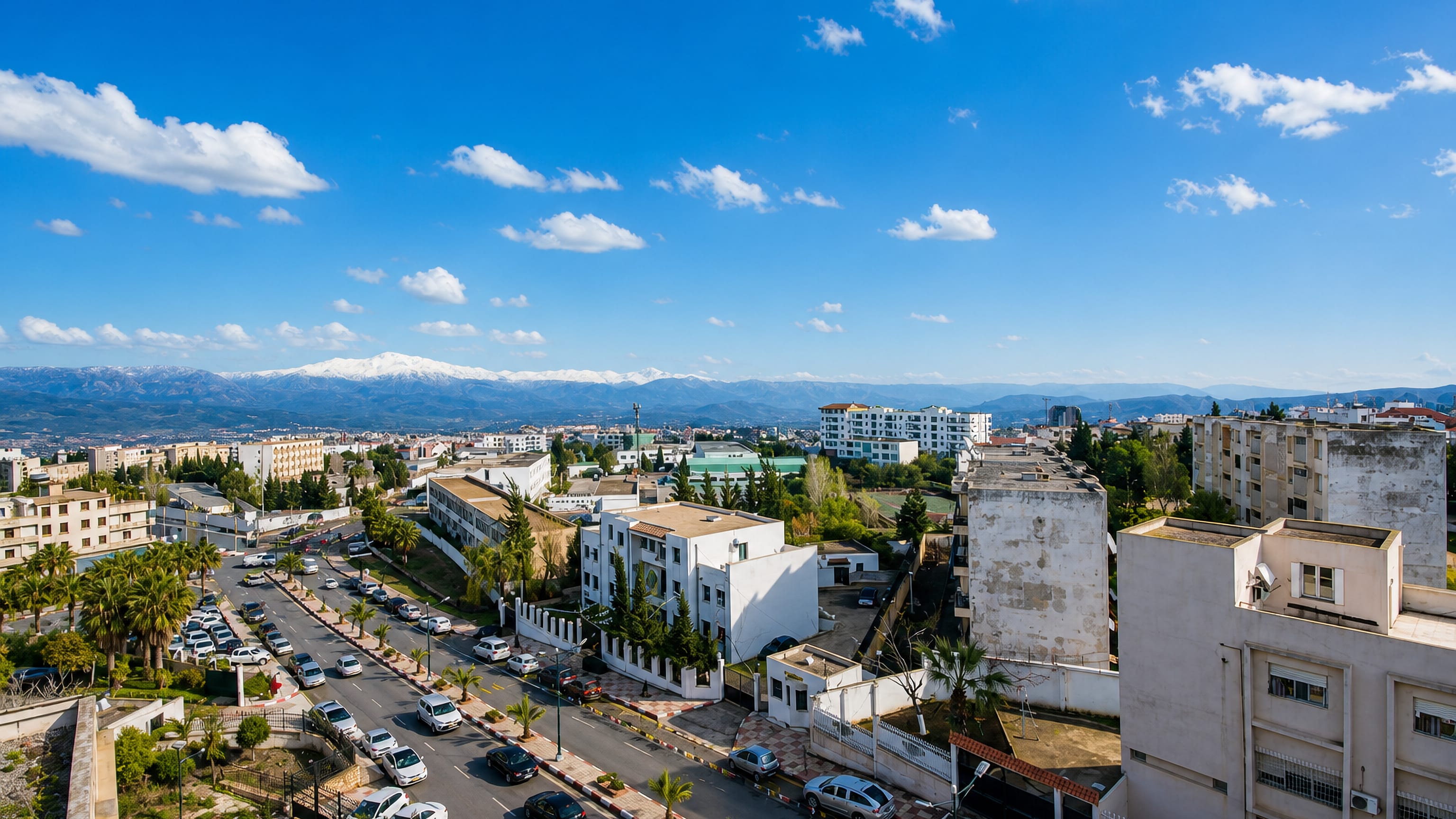 Palm-lined boulevard and white apartment blocks in Mila, Algeria, below snow-capped Atlas peaks
