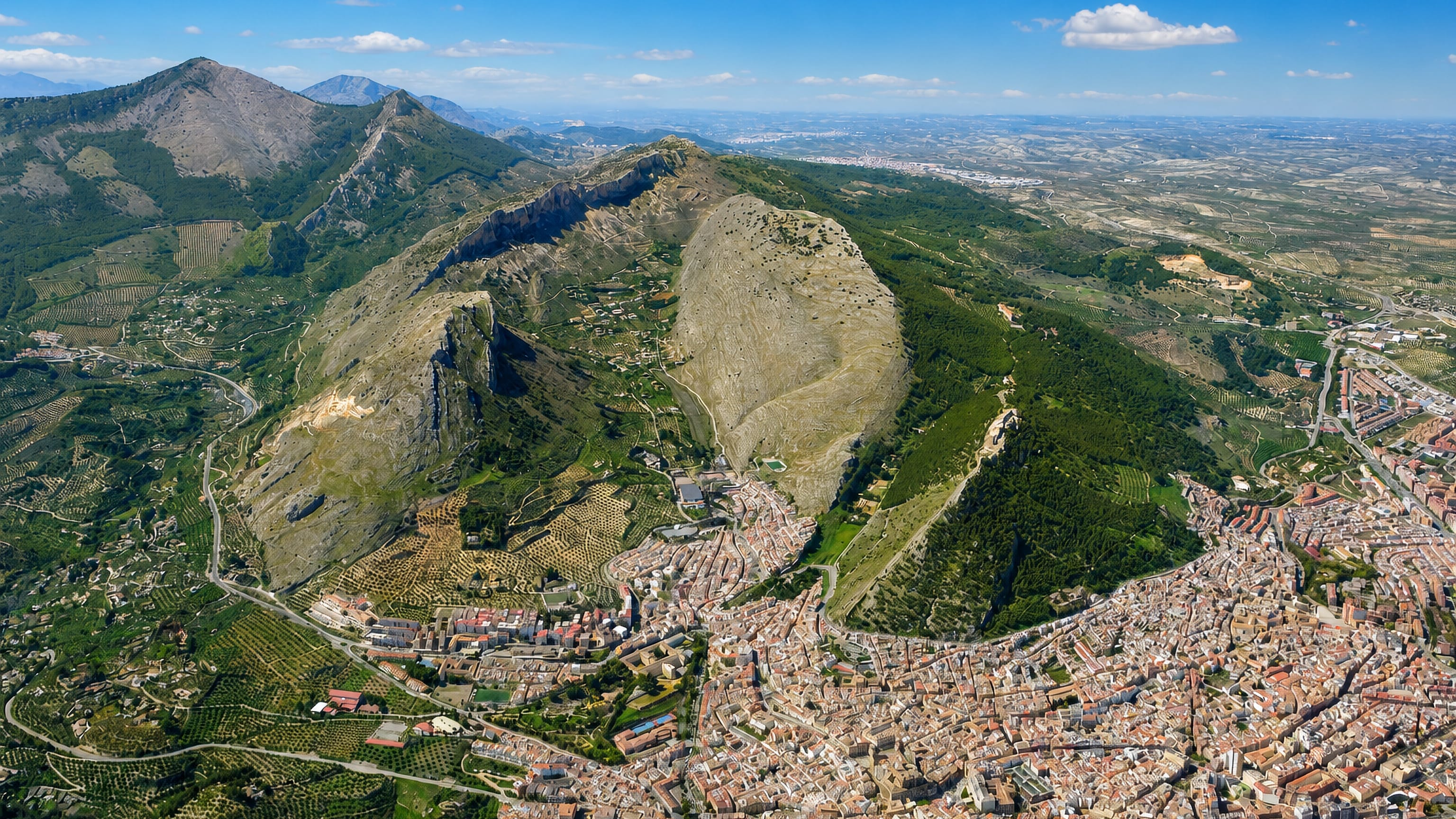 Aerial view of Jaén spreading below its wooded hillside among the olive groves of Andalusia