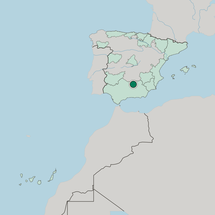 Map showing Linares — In Spain