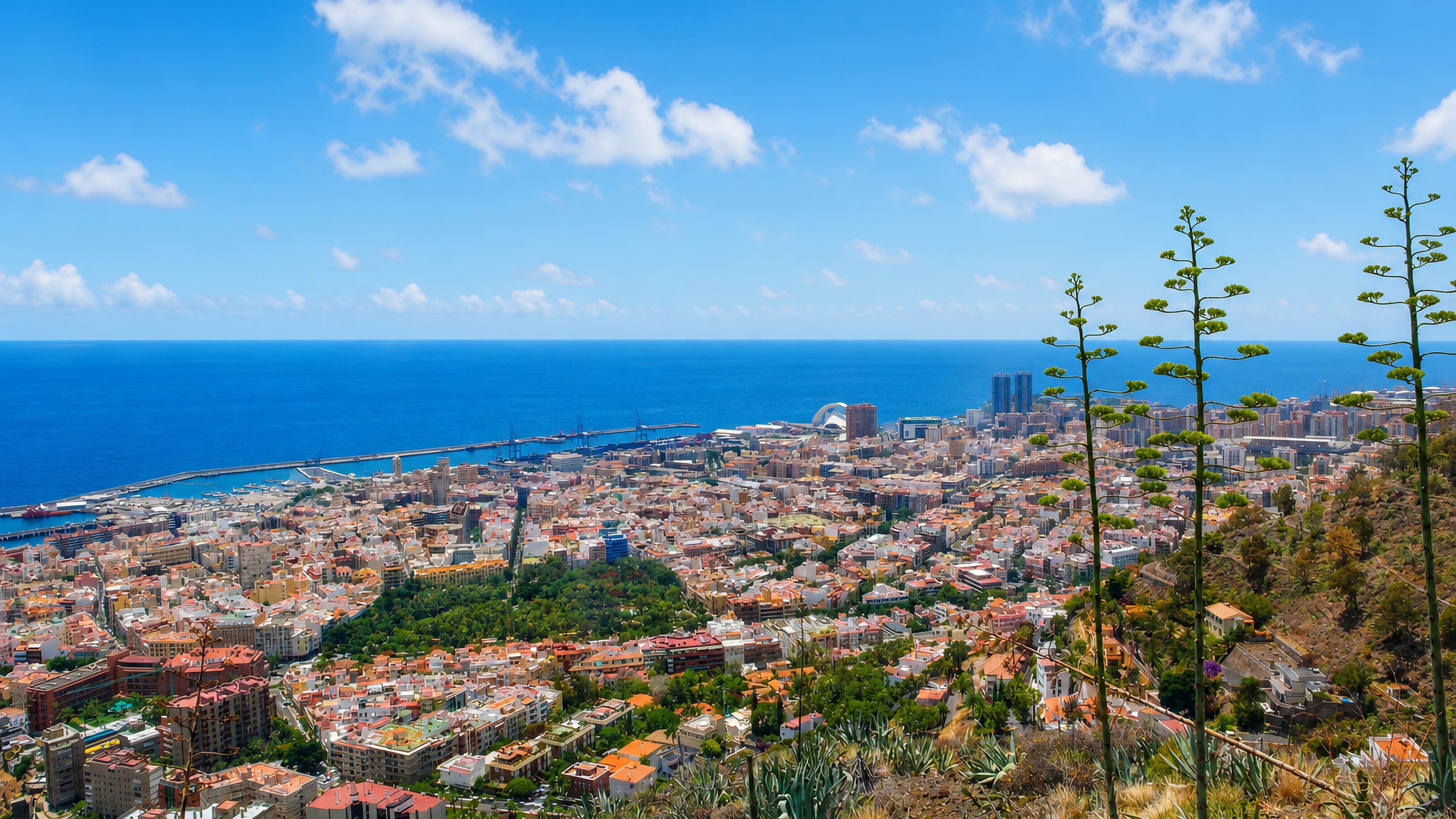 Santa Cruz de Tenerife spread between hillside agaves and the Atlantic, with its port, auditorium and twin towers.