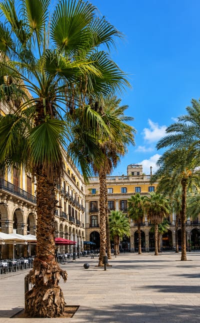 Palm-lined arcaded Plaça Reial with cafe terraces in the Barri Gotic, Barcelona's Gothic Quarter.