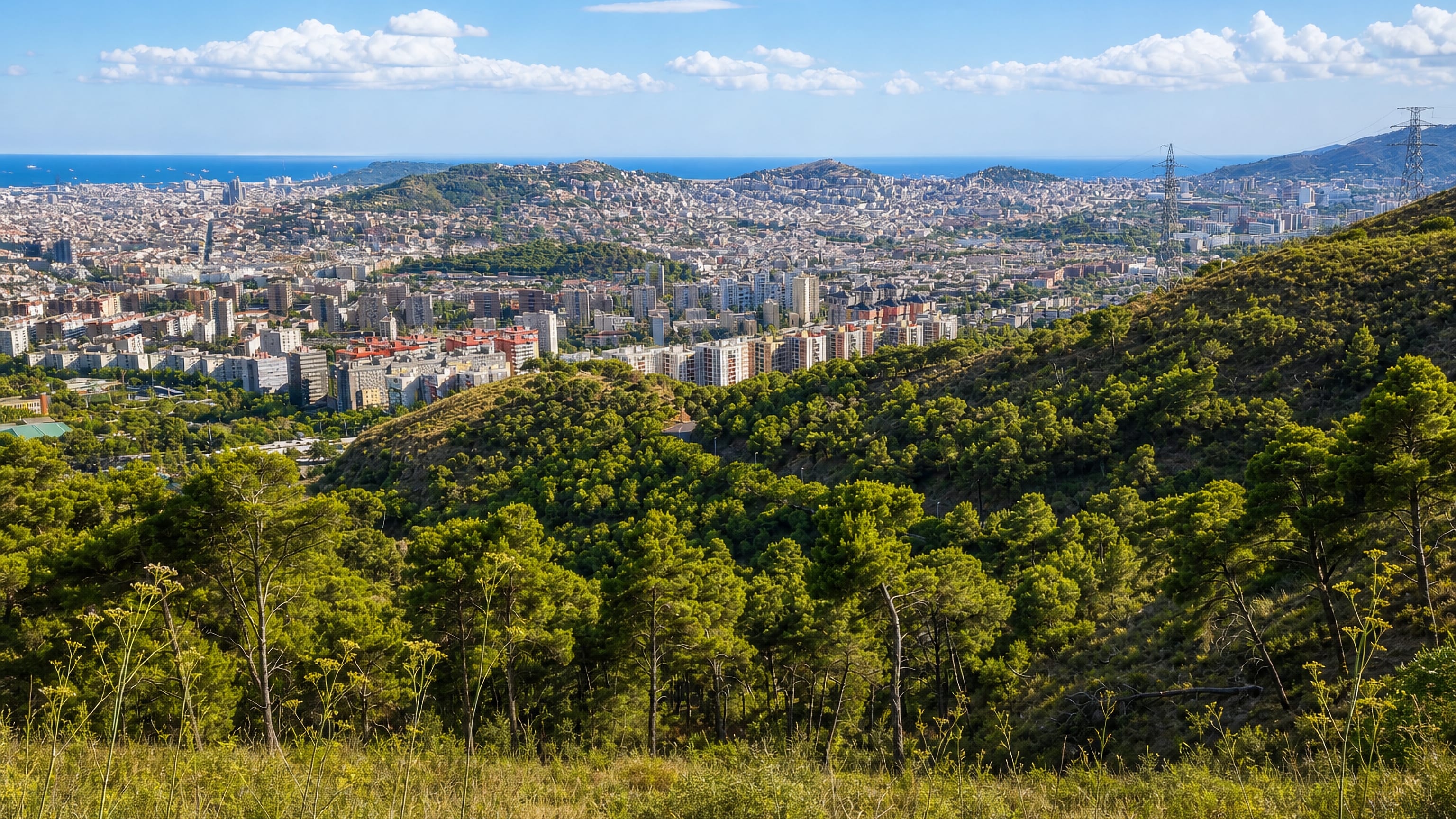 Barcelona spreading to the sea below the wooded Collserola slopes above les Roquetes