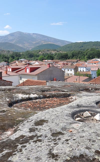 Navas