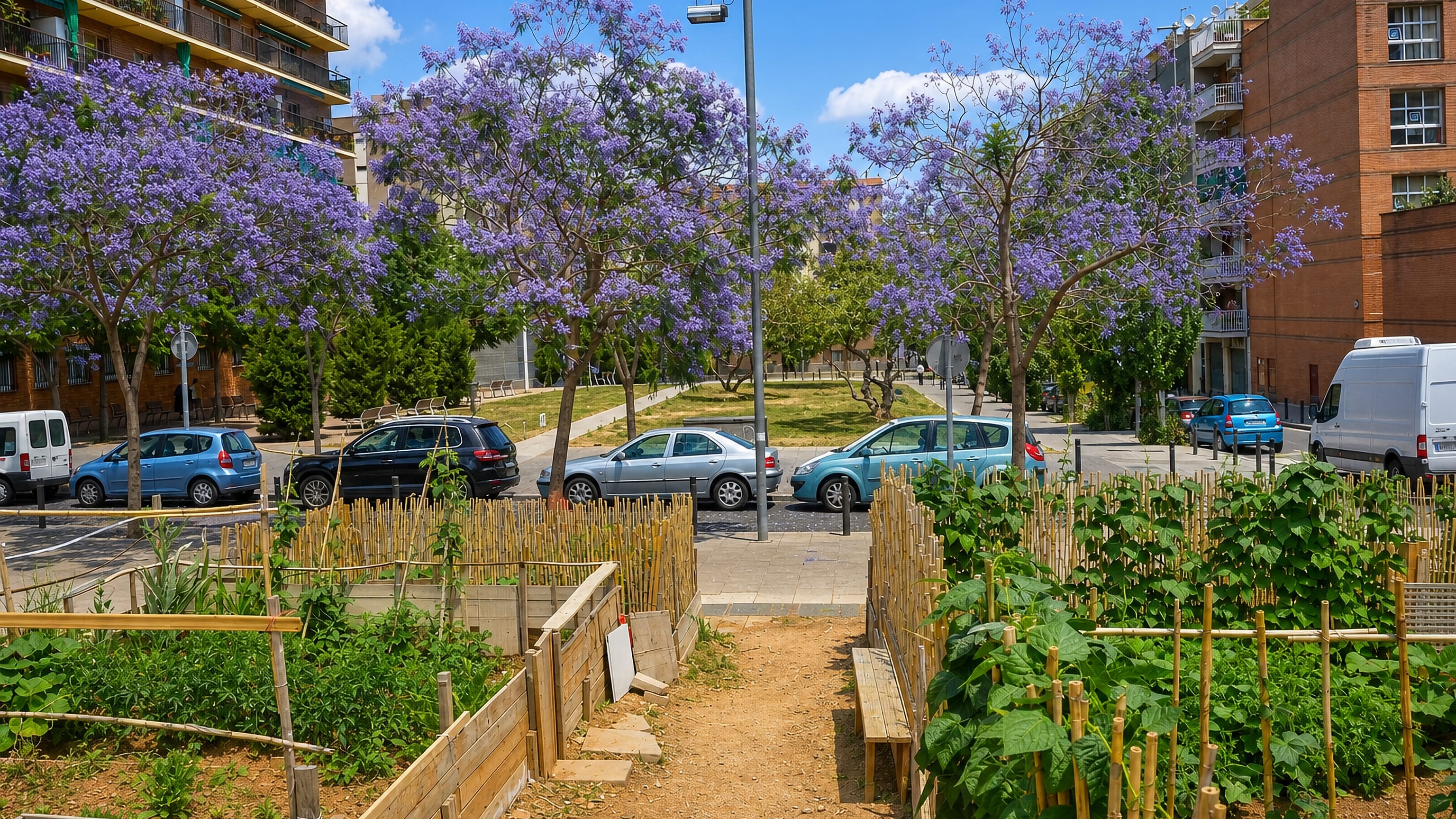 Community allotment plots and flowering jacarandas between apartment blocks in Porta, Santa Coloma de Gramenet.