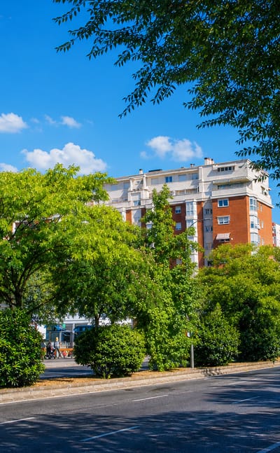 Tree-lined Madrid avenue in Orcasur with a brick apartment block and cars under a bright blue sky