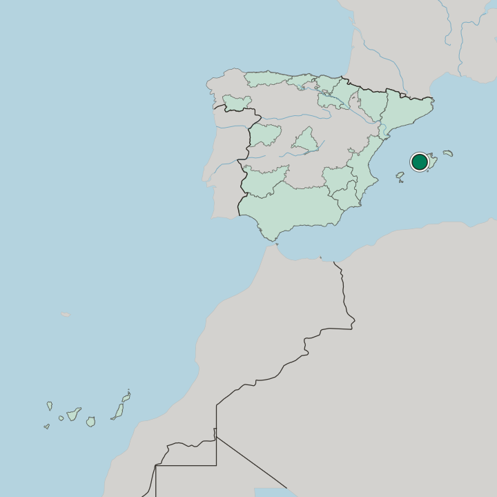 Map showing Calvià — In Spain
