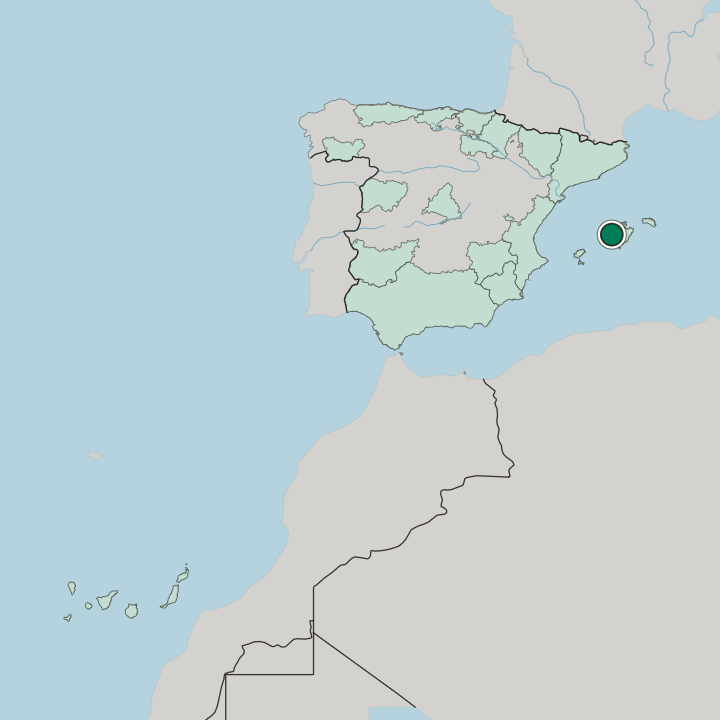 Map showing Palma — In Spain