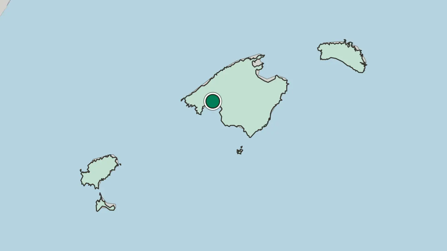 Map of Palma in Spain