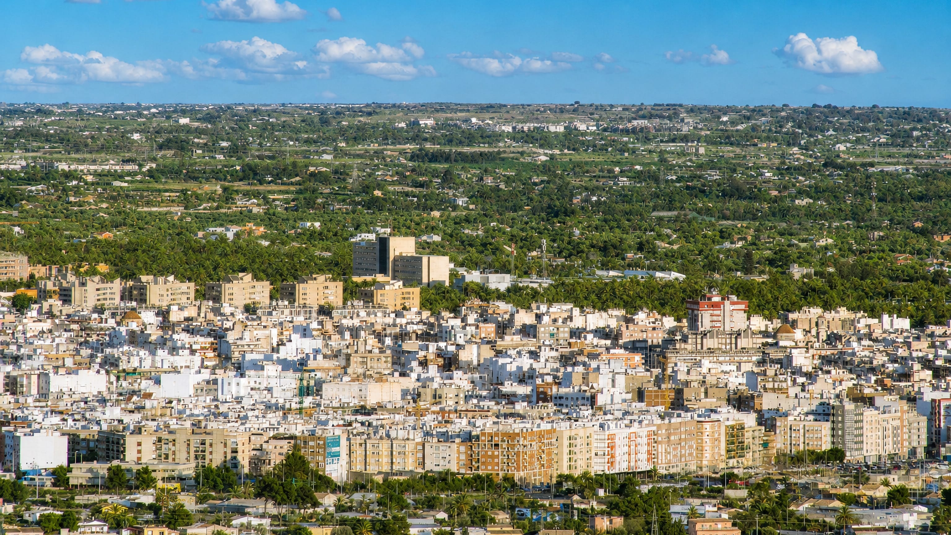 Elche's dense white and ochre cityscape ringed by the palm groves of its historic palmeral on the Valencian plain.