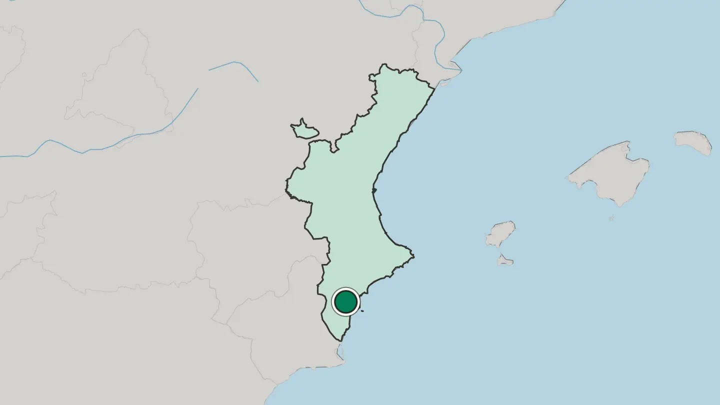 Map of Elche in Spain