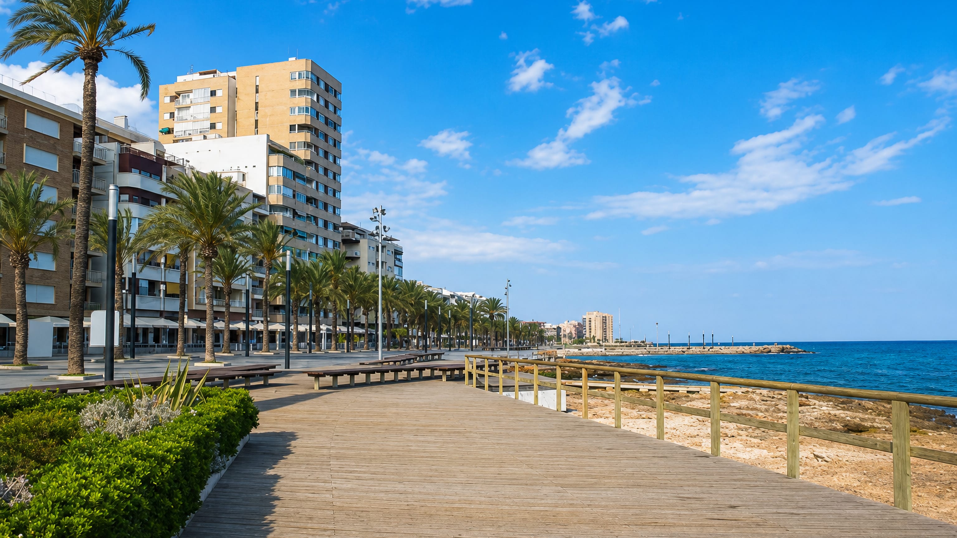 Palm-lined seafront boardwalk and apartment towers along the Mediterranean shore in Torrevieja, Spain