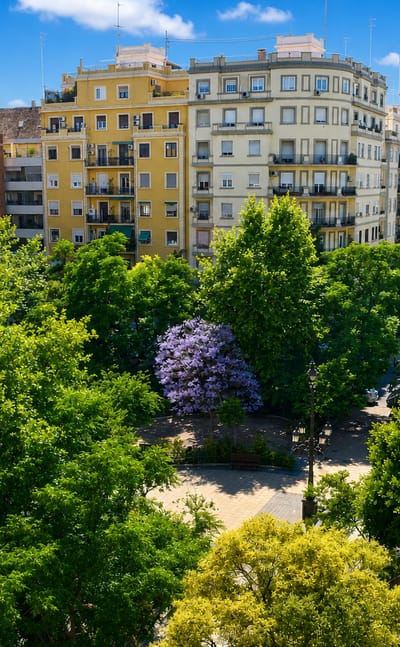 Tree-lined plaza with a flowering jacaranda between mid-century apartment blocks in La Vega Baixa, Valencia.