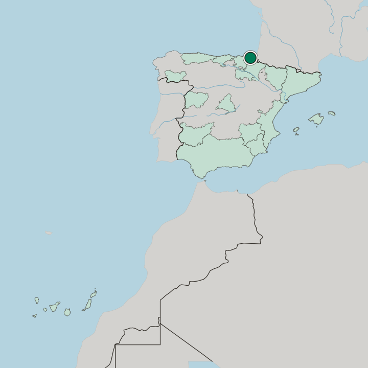 Map showing Bidebieta — In Spain