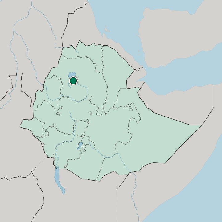 Map showing Bahir Dar — In Ethiopia