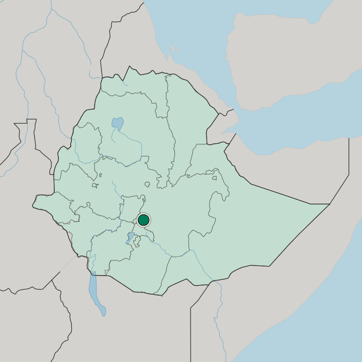Map showing Shashamane — In Ethiopia