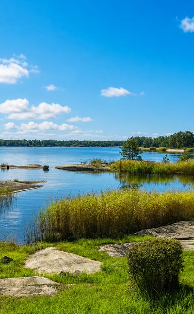 Föglö's Åland archipelago shoreline with rocky islets, reeds and calm blue sea under a bright summer sky.