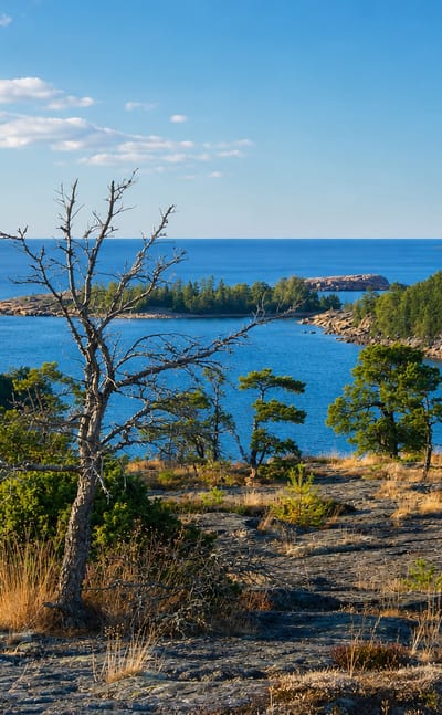 Rocky pine-forested coast overlooking a blue Baltic Sea bay at Geta in the Åland Islands, Finland