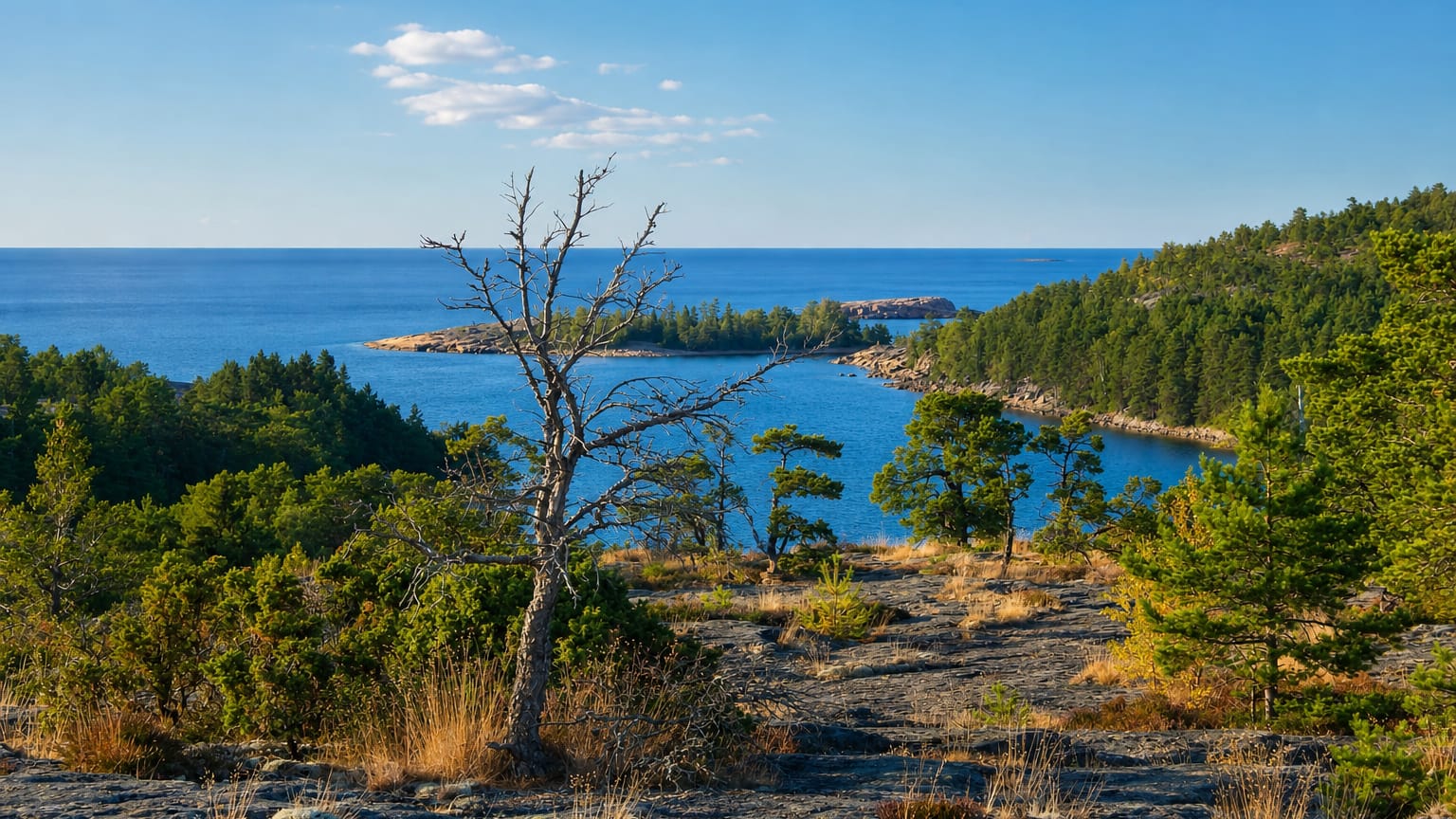 Rocky pine-forested coast overlooking a blue Baltic Sea bay at Geta in the Åland Islands, Finland