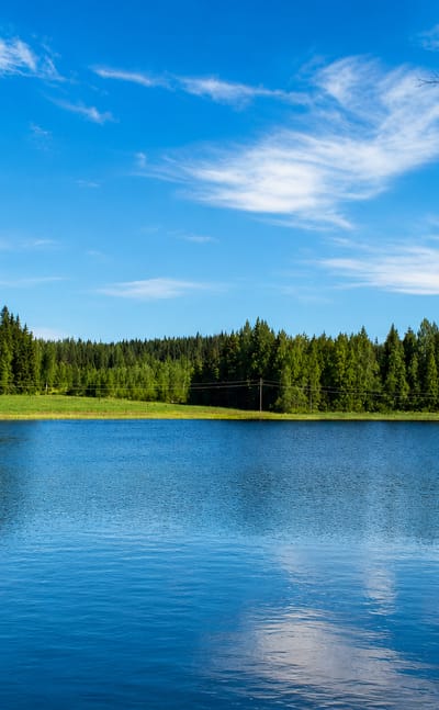 Calm blue lake ringed by spruce forest and a green meadow under a bright summer sky at Hankasalmi, Finland.