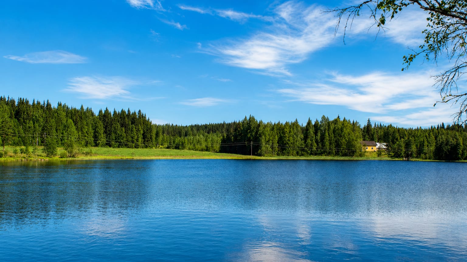 Calm blue lake ringed by spruce forest and a green meadow under a bright summer sky at Hankasalmi, Finland.