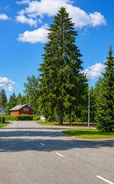 Köhniö in Jyväskylä, a quiet residential junction lined with spruce trees and a red wooden house.