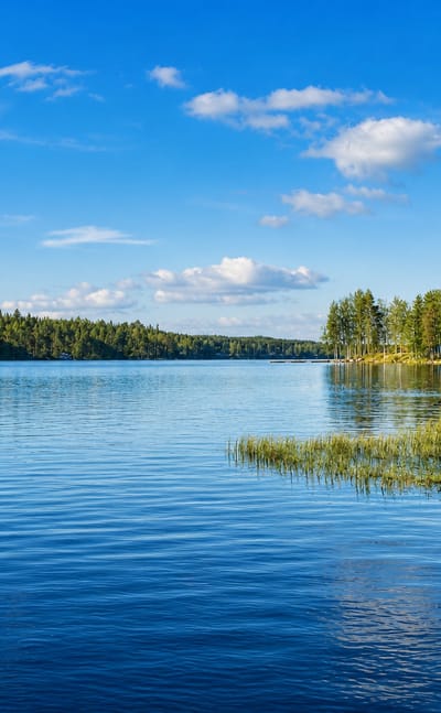 Calm blue lake ringed by spruce forest and birch trees under a bright summer sky at Keuruu, Finland.