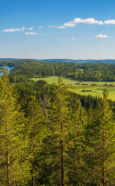 Pine forest on a hilltop overlooking blue lakes and green farmland in the lakeland around Korpilahti, Finland.