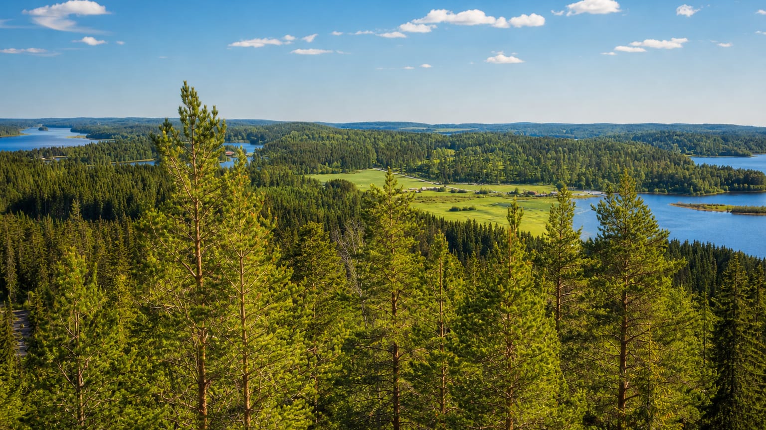 Pine forest on a hilltop overlooking blue lakes and green farmland in the lakeland around Korpilahti, Finland.