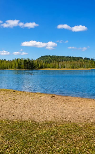 Sandy lakeside beach with a white bench facing a calm blue lake, a small marina and forested shore in Muurame, Finland.