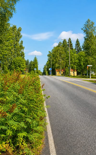 Green roadside verge and a country road passing wooden buildings under a blue sky in Pylkönmäki, Finland