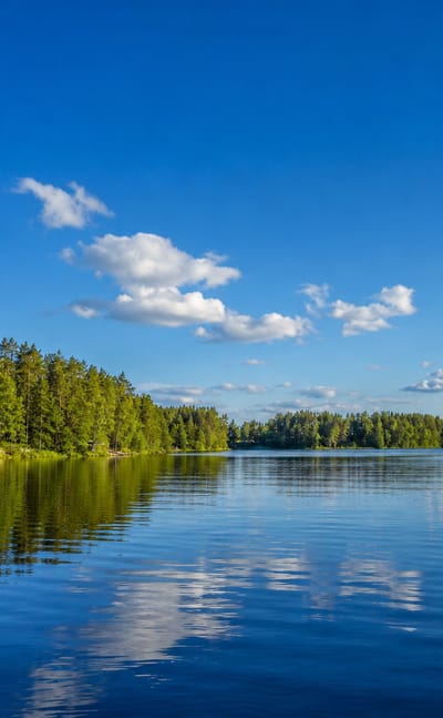 Calm forested lake with a pine-lined shore reflecting a blue, cloud-dotted sky near Lammi, Finland.